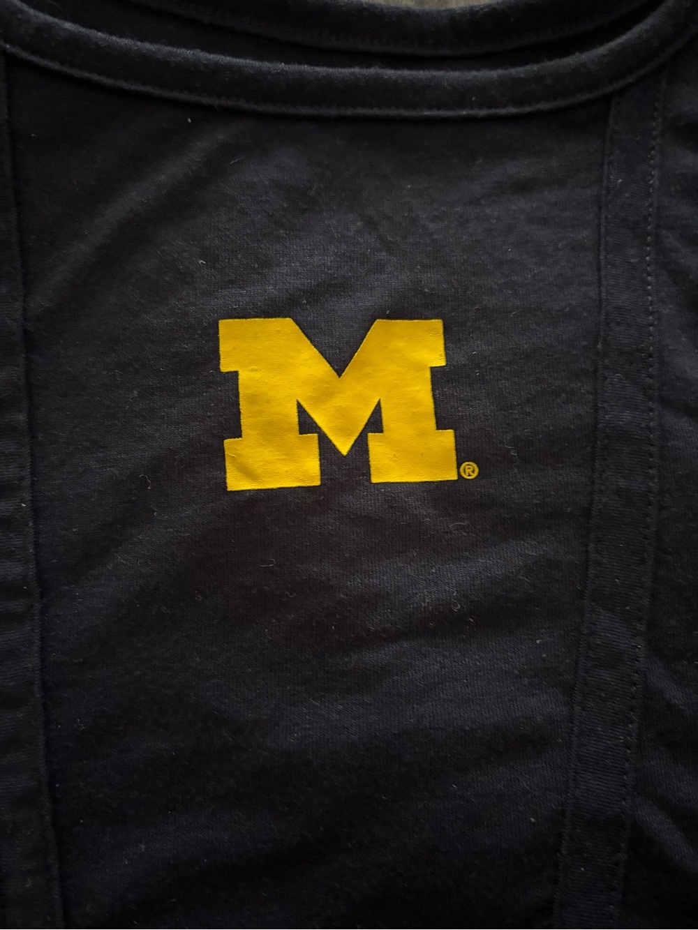University of Michigan Navy  Cropped Tank - Size L (12/14) - Picture 2 of 5